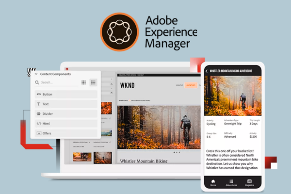 Adobe Experience Manager (AEM) Services